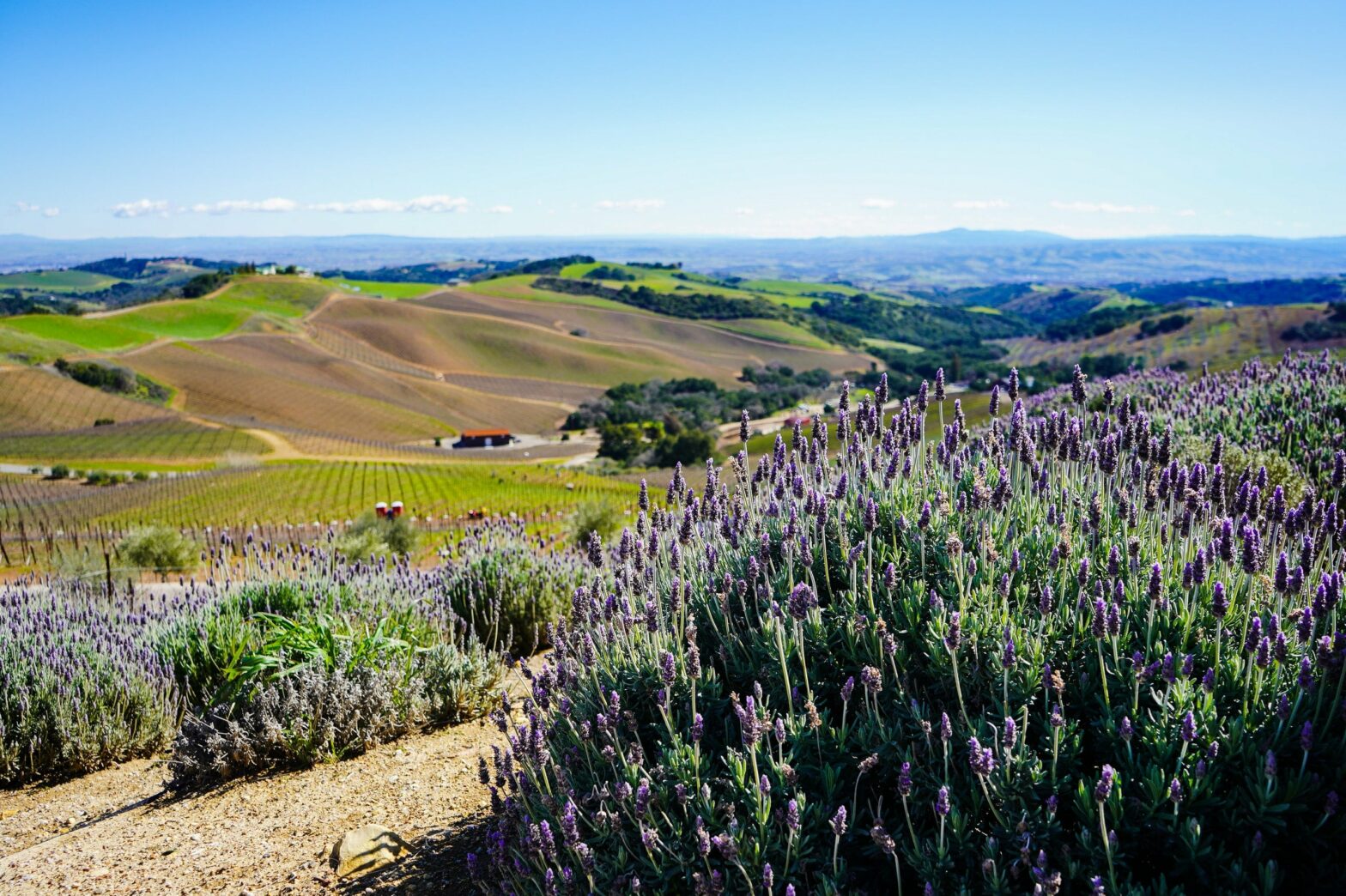 things to do in paso robels