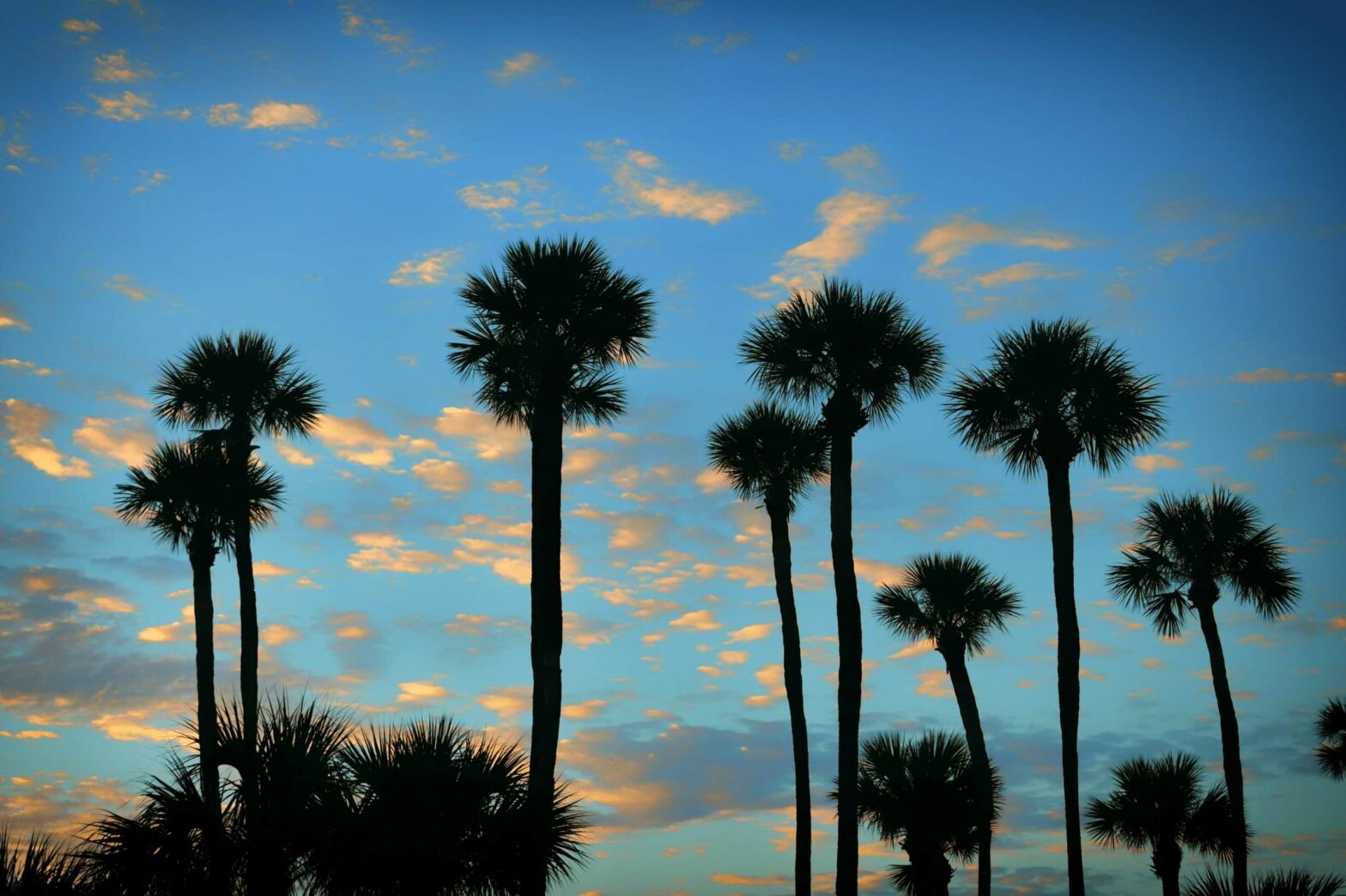 things to do in hilton head
