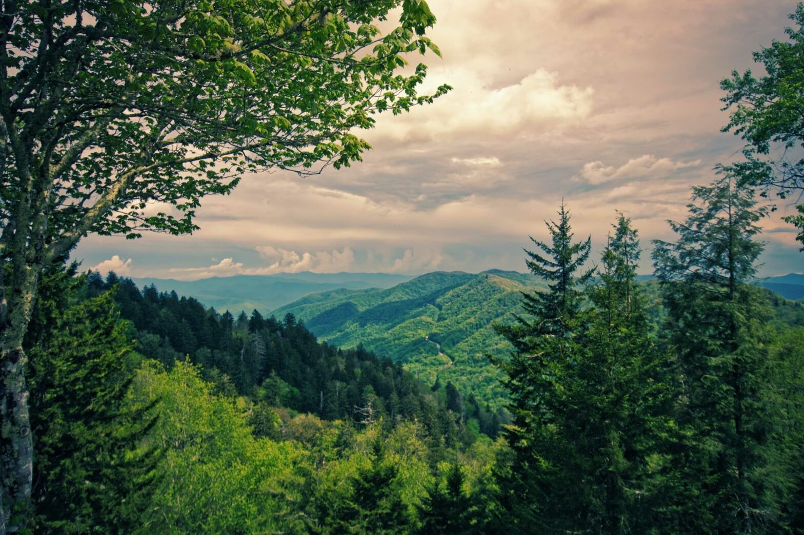 taking in the abundant nature is one of the many things to do in smoky mountains