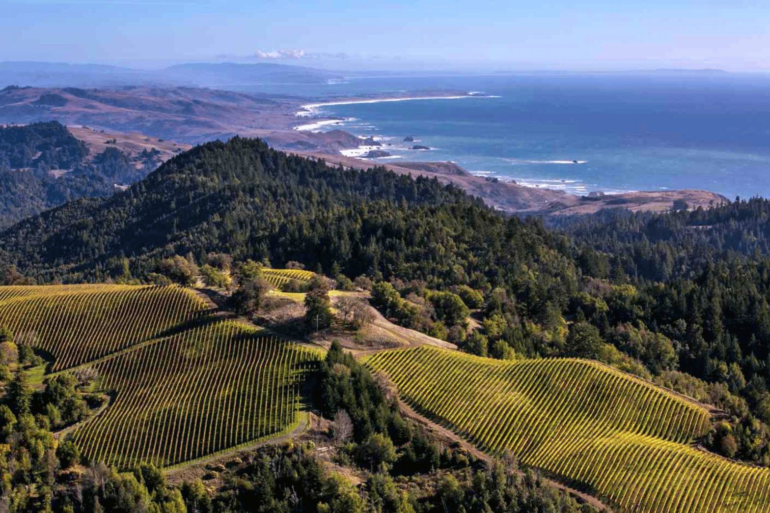 Sonoma County aerial shot
